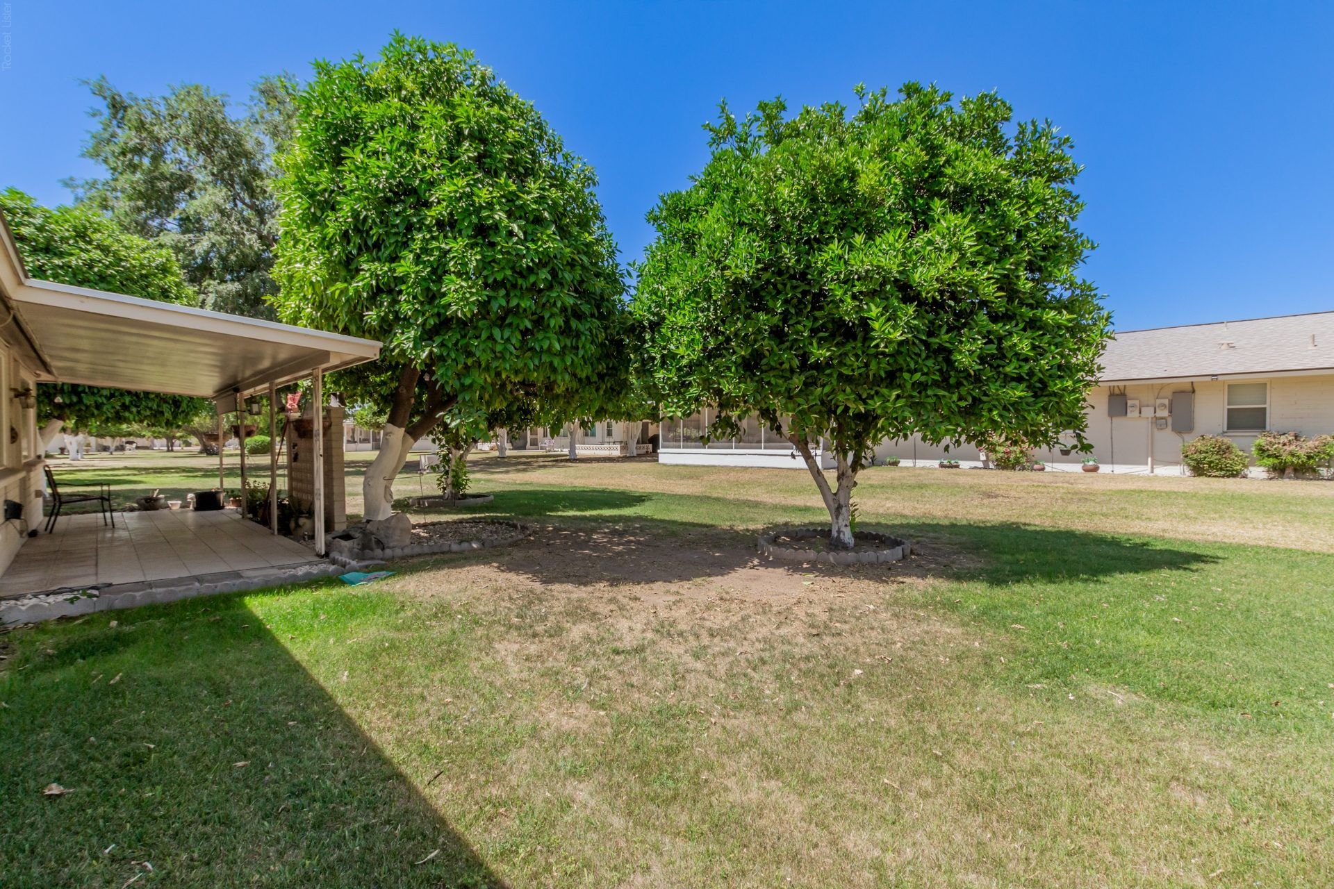 Shaded backyard with mature citrus trees